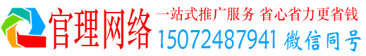 册亨官理竞价代运营